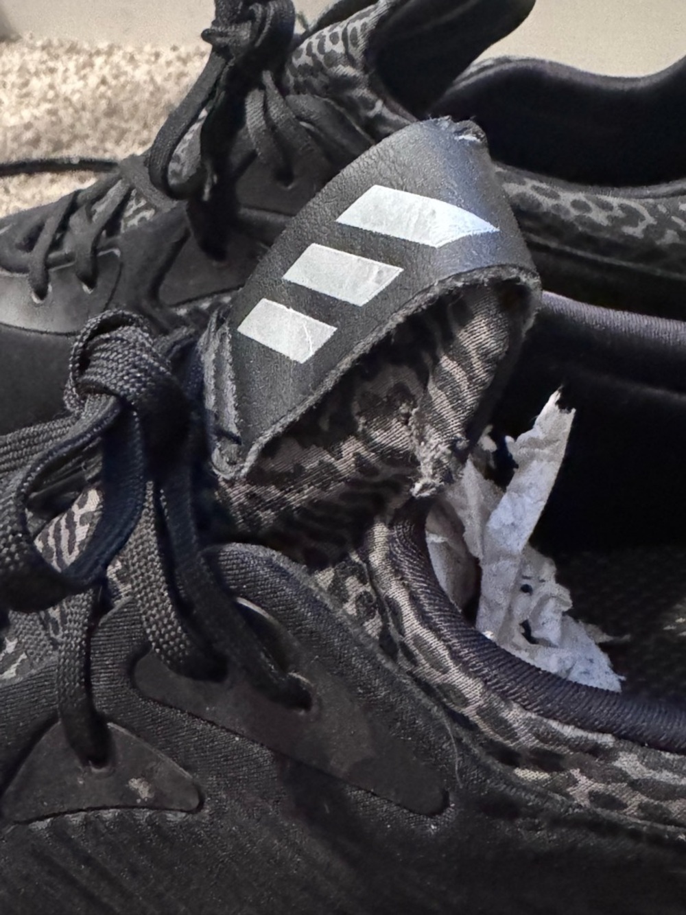 Adidas Alphabounce - Picture 2 of 7